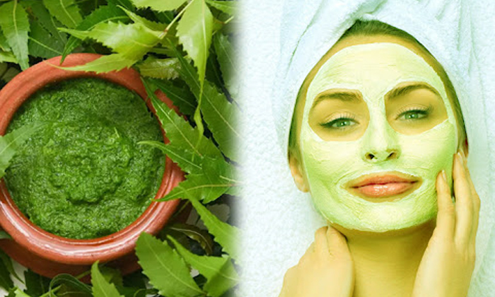 Telugu Beauty, Beauty Tips, Benefits Of Neem Leaves, Latest News, Neem Leaves, Rainy Season, Rainy Season Tips, Skin Care, Skin Care Tips-Telugu Health - తెలుగు హెల్త్ టిప్స్ ,చిట్కాలు Telugu Beauty, Beauty Tips, Benefits Of Neem Leaves, Latest News, Neem Leaves, Rainy Season, Rainy Season Tips, Skin Care, Skin Care Tips-Telugu Health - తెలుగు హెల్త్ టిప్స్ ,చిట్కాలు