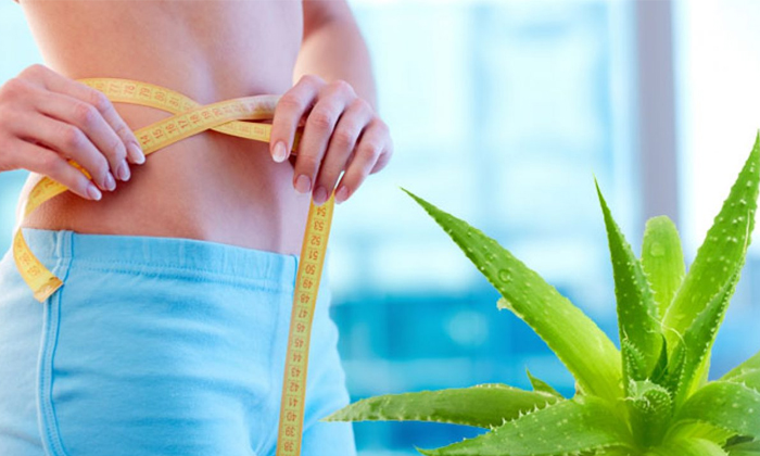 Telugu Aloe Vera, Aloe Vera Juice, Benefits Of Aloe Vera. Latest News, Good Health, Health, Health Tips, Heart Problems, Low Bp, Pregnancy Women, Side Effects Of Aloe Vera, Weigh Loss-Telugu Health Telugu Aloe Vera, Aloe Vera Juice, Benefits Of Aloe Vera. Latest News, Good Health, Health, Health Tips, Heart Problems, Low Bp, Pregnancy Women, Side Effects Of Aloe Vera, Weigh Loss-Telugu Health