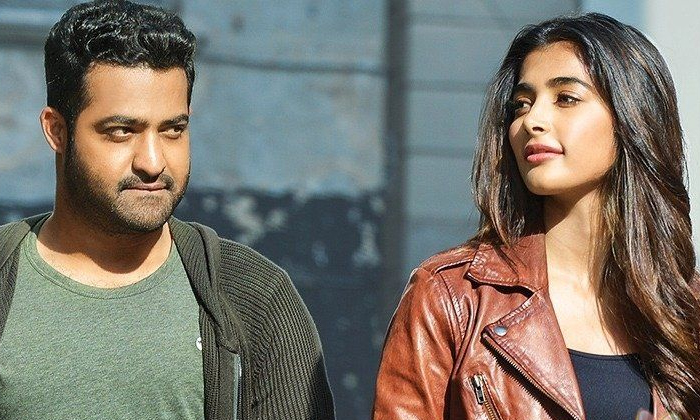 Telugu Age Gap, Ntr Pooja Hegde, Pawan Kalyan Keerthy Suresh, Payal Rrajput, Prabhas Shraddha Kapoor, Raviteja, Tollywoo Hero Heroines, Tollywood Hero Heroines, Tollywood Heroines Age When Heros First Movie-Telugu Stop Exclusive Top Stories Telugu Age Gap, Ntr Pooja Hegde, Pawan Kalyan Keerthy Suresh, Payal Rrajput, Prabhas Shraddha Kapoor, Raviteja, Tollywoo Hero Heroines, Tollywood Hero Heroines, Tollywood Heroines Age When Heros First Movie-Telugu Stop Exclusive Top Stories
