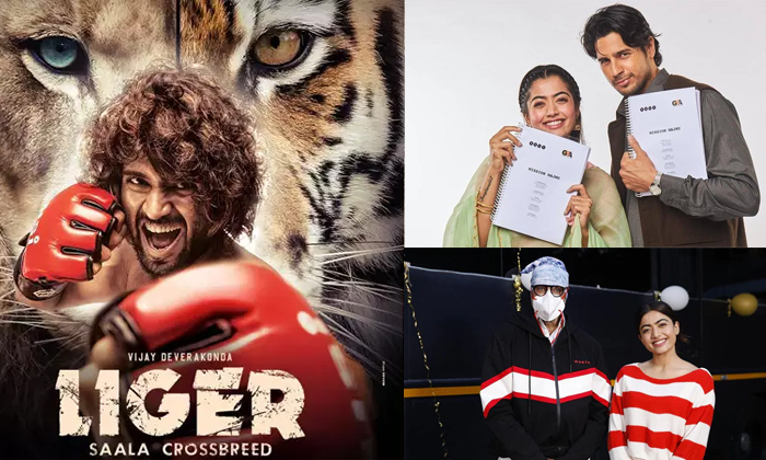 Telugu Akkineni Samantha, Bollywood Movies, Family Man 2, Good Bye Movie, Laal Singh Chaddha, Liger, Masth Web Series, Naga Chaitanya, Rashmika Mandann, Tollywood Stars, Vijay Devarakonda-Telugu Stop Exclusive Top Stories Telugu Akkineni Samantha, Bollywood Movies, Family Man 2, Good Bye Movie, Laal Singh Chaddha, Liger, Masth Web Series, Naga Chaitanya, Rashmika Mandann, Tollywood Stars, Vijay Devarakonda-Telugu Stop Exclusive Top Stories