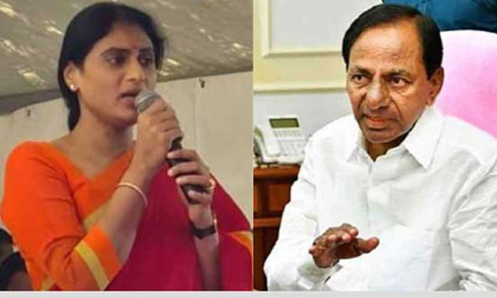 Telugu Ap, Kcr, Lotuspond, Sharmilamma, Telangana, Trs, Trs Government, Ys Rajashekarareddy, Ys Sharmila, Ysrctp-Telugu Political News Telugu Ap, Kcr, Lotuspond, Sharmilamma, Telangana, Trs, Trs Government, Ys Rajashekarareddy, Ys Sharmila, Ysrctp-Telugu Political News