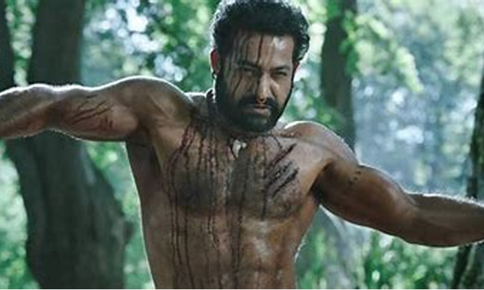 Telugu Jr Ntr, Junior Ntr, Koratala Shiva, Movie News, New Look, Weight Loss-Movie Telugu Jr Ntr, Junior Ntr, Koratala Shiva, Movie News, New Look, Weight Loss-Movie