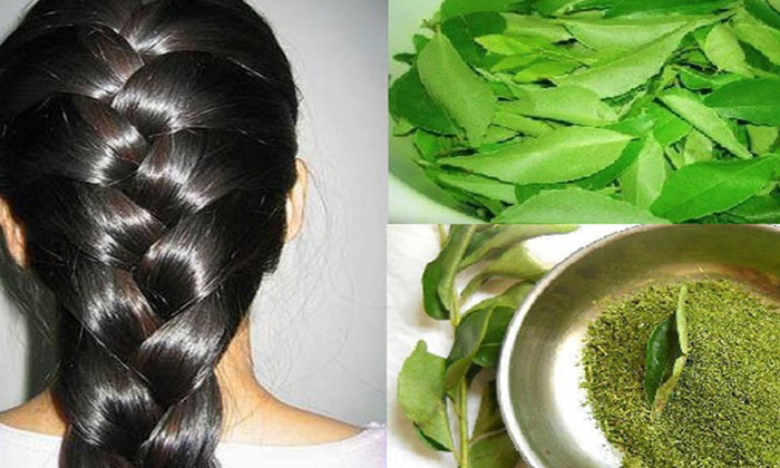 Telugu Black Hair, Health Benifits, Health Care, Healthtips, Tips, White Hair-Latest News - Telugu Telugu Black Hair, Health Benifits, Health Care, Healthtips, Tips, White Hair-Latest News - Telugu