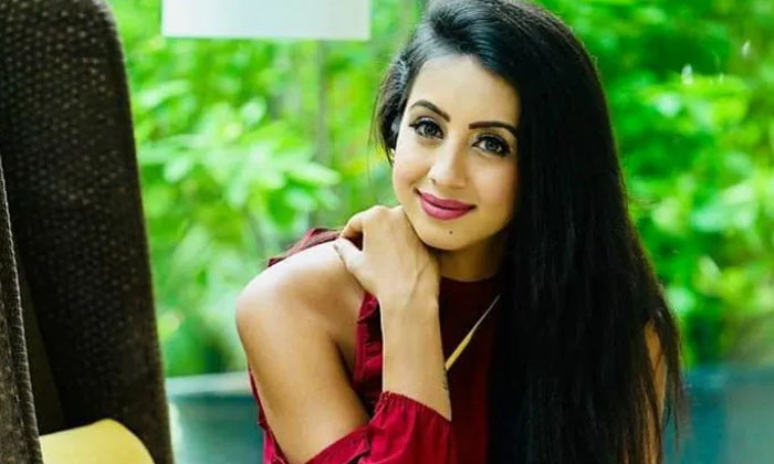 Telugu About Prabhas, Bujjigadu, Bujjigadu Movie, Interesting Comments, Intresting Facts, Kannada, Sanjana, Sanjana Galrani, Speaks About Prabhas, Tollywood-Movie Telugu About Prabhas, Bujjigadu, Bujjigadu Movie, Interesting Comments, Intresting Facts, Kannada, Sanjana, Sanjana Galrani, Speaks About Prabhas, Tollywood-Movie