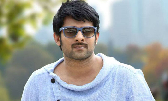 Telugu About Prabhas, Bujjigadu, Bujjigadu Movie, Interesting Comments, Intresting Facts, Kannada, Sanjana, Sanjana Galrani, Speaks About Prabhas, Tollywood-Movie Telugu About Prabhas, Bujjigadu, Bujjigadu Movie, Interesting Comments, Intresting Facts, Kannada, Sanjana, Sanjana Galrani, Speaks About Prabhas, Tollywood-Movie
