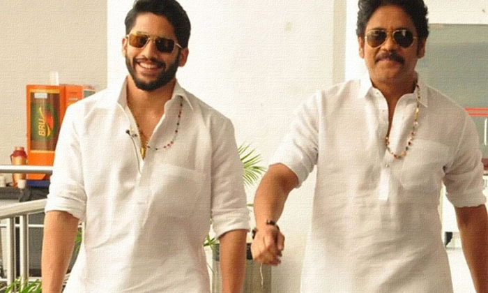 Telugu Bangarraju, Film News, Naga Chaitanya, News In Telugu-Movie Telugu Bangarraju, Film News, Naga Chaitanya, News In Telugu-Movie