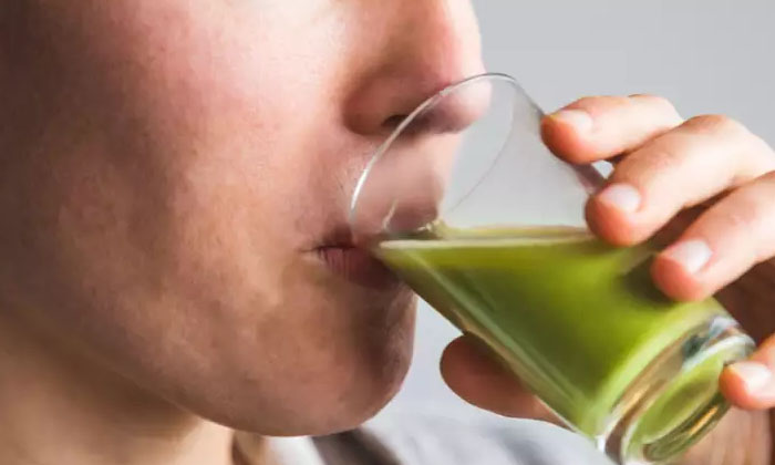 Telugu Tips, Latest, Wheatgrass-Telugu Health - తెలుగు హెల్త్ టిప్స్ ,చిట్కాలు Telugu Tips, Latest, Wheatgrass-Telugu Health - తెలుగు హెల్త్ టిప్స్ ,చిట్కాలు