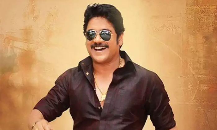 Telugu Bangarraju, Bangarraju Release Date, January 15, Krithi Shetty, Naga Chaitanya, Nagarjuna, Nagarjuna Bangarraju Movie Entry Into Sankranthi 2022 Race, Ramya Krishna, Sankranthi 2022, Sankranthi 2022 Race-Movie Telugu Bangarraju, Bangarraju Release Date, January 15, Krithi Shetty, Naga Chaitanya, Nagarjuna, Nagarjuna Bangarraju Movie Entry Into Sankranthi 2022 Race, Ramya Krishna, Sankranthi 2022, Sankranthi 2022 Race-Movie