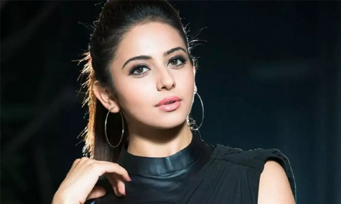 Telugu Beauty, Fitness, Funny Comments, Instagram, Rakul Cheat Diet, Rakul Fitness, Rakul Funny Video, Rakul Preet, Tollywood-Movie Telugu Beauty, Fitness, Funny Comments, Instagram, Rakul Cheat Diet, Rakul Fitness, Rakul Funny Video, Rakul Preet, Tollywood-Movie