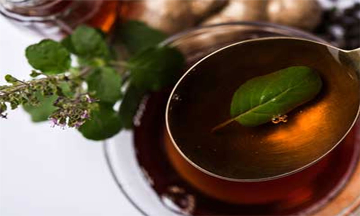 Telugu Good Health, Health, Health Tips, Kashayam, Latest News, Rainy Season, Rainy Season Diseases, Seasonal Diseases, Shonti Kashayam, Tulasi Kashayyam-Telugu Health Telugu Good Health, Health, Health Tips, Kashayam, Latest News, Rainy Season, Rainy Season Diseases, Seasonal Diseases, Shonti Kashayam, Tulasi Kashayyam-Telugu Health