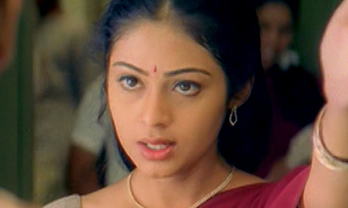 Telugu Anjali, Heroines Dialogues, Jenelia, Kajal Agarwal, Mehreen, Rakul Preeth Singh, Rashmika Mandana, Sada, Sai Pallavi, Samantha, Swetha Basu Prasad, Tollywood, Tollywood Heroines Famous Dialogues-Telugu Stop Exclusive Top Stories Telugu Anjali, Heroines Dialogues, Jenelia, Kajal Agarwal, Mehreen, Rakul Preeth Singh, Rashmika Mandana, Sada, Sai Pallavi, Samantha, Swetha Basu Prasad, Tollywood, Tollywood Heroines Famous Dialogues-Telugu Stop Exclusive Top Stories