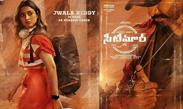 Telugu Adventure, Bollywood Beauty, Gurthunda Seethakalam, Movies, Seetimaar, Tammanna, Tollywood Movie News-Movie Telugu Adventure, Bollywood Beauty, Gurthunda Seethakalam, Movies, Seetimaar, Tammanna, Tollywood Movie News-Movie