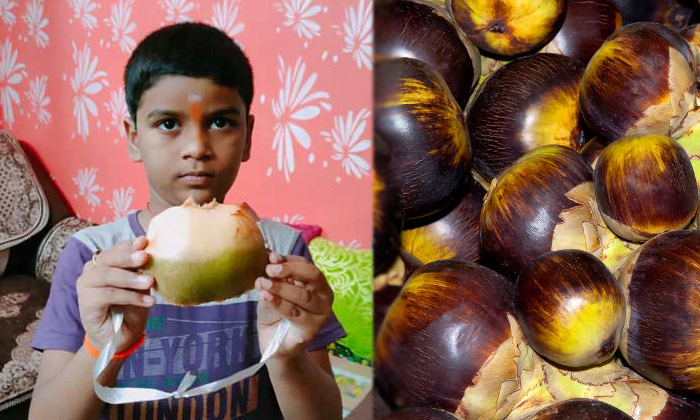Telugu Boy, Corona Mask, Eco Friendly, Kid, Mask, Palm Fruit Mask, Prepared, Social Media, Viral Latest, Viral News, Viral Video-Latest News - Telugu Telugu Boy, Corona Mask, Eco Friendly, Kid, Mask, Palm Fruit Mask, Prepared, Social Media, Viral Latest, Viral News, Viral Video-Latest News - Telugu