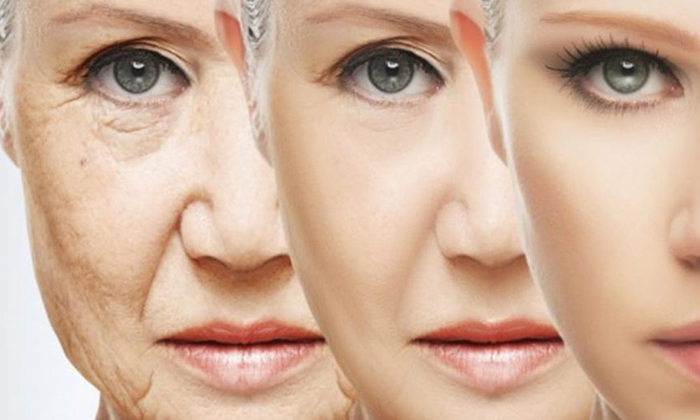 Telugu Beauty Parlors, But Is The World Equipped To Handle Immortality, Cosmetic Surgeries, Google, Israeli Scientists, Jeff Bezos, Jeff Bezos Wants To Reverse Ageing, Oracle Company, Reverse Aging-Telugu NRI Telugu Beauty Parlors, But Is The World Equipped To Handle Immortality, Cosmetic Surgeries, Google, Israeli Scientists, Jeff Bezos, Jeff Bezos Wants To Reverse Ageing, Oracle Company, Reverse Aging-Telugu NRI