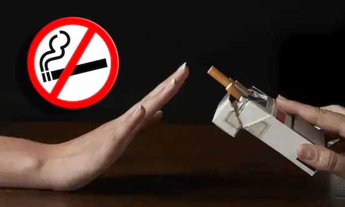 Telugu Bigg Boss 13, Cigarette Smoking, Cycling, Died Heart Attack, Less Salt Usage, Mental Stress, Siddhartha Shukla, Steroids, Swimming, Telugu Health, Youth Heart Attack-Telugu Health Telugu Bigg Boss 13, Cigarette Smoking, Cycling, Died Heart Attack, Less Salt Usage, Mental Stress, Siddhartha Shukla, Steroids, Swimming, Telugu Health, Youth Heart Attack-Telugu Health