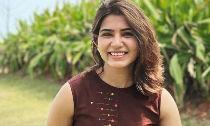 Telugu Amaiya Chesava, Family Men 2, Nagachaitanya, Remunartion, Samantha, Tollywood, Web Series-Telugu Stop Exclusive Top Stories Telugu Amaiya Chesava, Family Men 2, Nagachaitanya, Remunartion, Samantha, Tollywood, Web Series-Telugu Stop Exclusive Top Stories