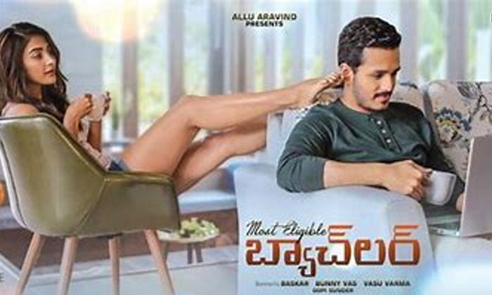 Telugu Bunny Vasu, Chavu Kaburu Challaga, Pooja Hegde, Tollywood-Movie Telugu Bunny Vasu, Chavu Kaburu Challaga, Pooja Hegde, Tollywood-Movie