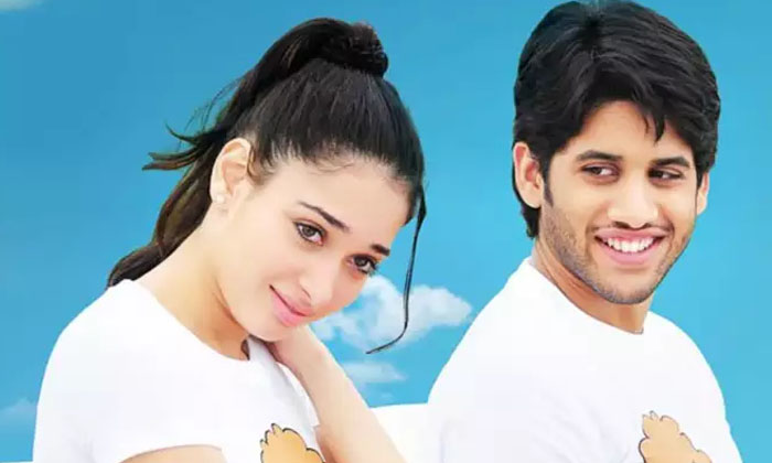 Telugu 100% Love, First Movie, Naga Chaitanya, Rejects, Tamanna, Thadaka Movies, Tollywood-Movie Telugu 100% Love, First Movie, Naga Chaitanya, Rejects, Tamanna, Thadaka Movies, Tollywood-Movie