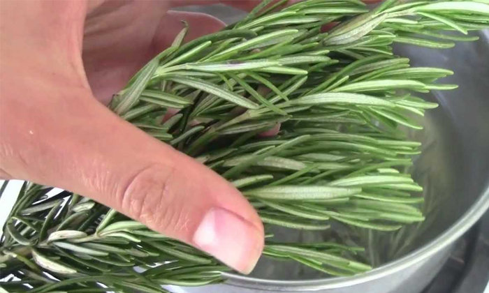 Telugu Hair, Hair Care, Hair Care Tips, Hair Wash, Latest News, Mandaram Leaves, Multani Mitti, Natural Shampoo For Hair, Natural Shampoos, Rose Merry Leaves, Shampoo-Telugu Health Telugu Hair, Hair Care, Hair Care Tips, Hair Wash, Latest News, Mandaram Leaves, Multani Mitti, Natural Shampoo For Hair, Natural Shampoos, Rose Merry Leaves, Shampoo-Telugu Health