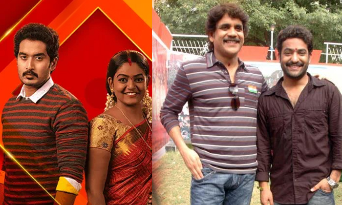 Telugu Kartheekadeepam, Nagarjuna, Ntr, Vantalakka-Movie Telugu Kartheekadeepam, Nagarjuna, Ntr, Vantalakka-Movie