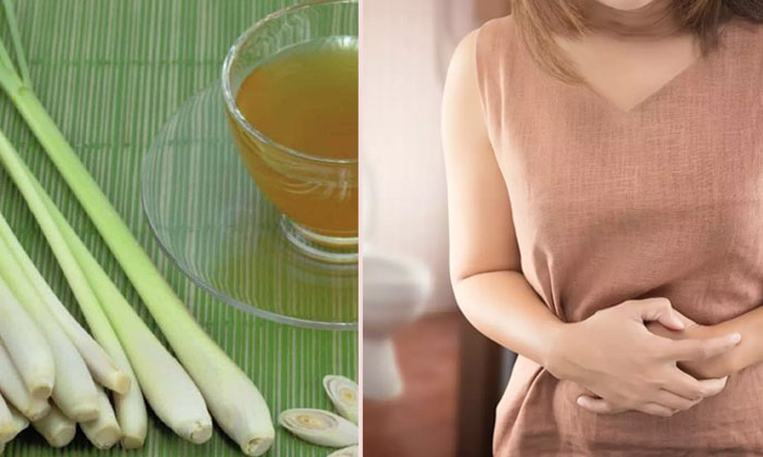 Telugu Benefits Of Lemongrass, Bigh Bp, Blood Pressure, Bp, Good Health, Health, Health Tips, High Blood Pressure, Lemongrass, Lemongrass For Health, Lemongrass Tea-Telugu Health - తెలుగు హెల్త్ టిప్స్ ,చిట్కాలు Telugu Benefits Of Lemongrass, Bigh Bp, Blood Pressure, Bp, Good Health, Health, Health Tips, High Blood Pressure, Lemongrass, Lemongrass For Health, Lemongrass Tea-Telugu Health - తెలుగు హెల్త్ టిప్స్ ,చిట్కాలు