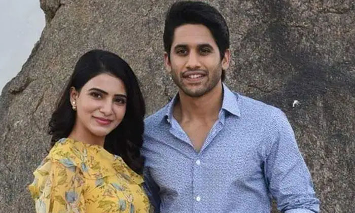 Telugu Chaitanya, Love Story Movie, Nagarjuna, Samantha, Samantha Pregnant, Shakunthalam Movie, Tollywood-Movie Telugu Chaitanya, Love Story Movie, Nagarjuna, Samantha, Samantha Pregnant, Shakunthalam Movie, Tollywood-Movie