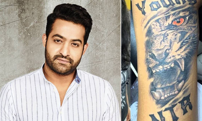 Telugu Bangalore Girl, Girl Fan, Nandamuri Fans, Ntr, Permanent Tattoo, Social Media, Tattoo, Tattoo On Girl Hand, Tollywood, Viral News, Viral Photo, Young Tiger Ntr-Movie Telugu Bangalore Girl, Girl Fan, Nandamuri Fans, Ntr, Permanent Tattoo, Social Media, Tattoo, Tattoo On Girl Hand, Tollywood, Viral News, Viral Photo, Young Tiger Ntr-Movie