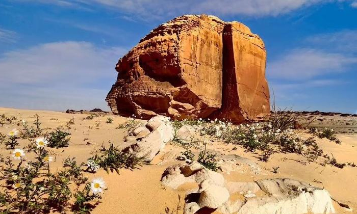 Telugu Al Nasla Rock, Arabia, Four Thousand Years Old, Natural Beauty, No Base, Tamya Oasis, Underneath, Viral News, World Record-Latest News - Telugu Telugu Al Nasla Rock, Arabia, Four Thousand Years Old, Natural Beauty, No Base, Tamya Oasis, Underneath, Viral News, World Record-Latest News - Telugu
