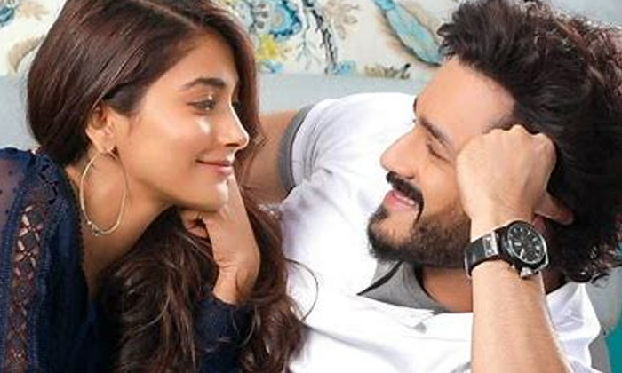 Telugu Akhil Akkineni, Film News, Most Eligible Bachelor, Movie News-Movie Telugu Akhil Akkineni, Film News, Most Eligible Bachelor, Movie News-Movie