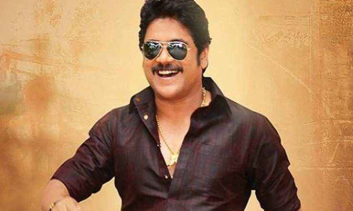Telugu Hero Nagarjuna, Interesting Comments, Kota Sreenivasarao, Rakshana Movie, Shatruvu-Movie Telugu Hero Nagarjuna, Interesting Comments, Kota Sreenivasarao, Rakshana Movie, Shatruvu-Movie