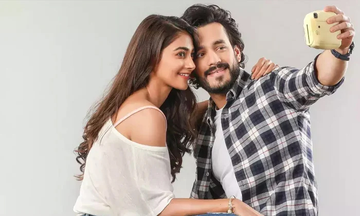 Telugu 50 Crore Rupees, Akhil, Akhil Most Eligible Bachelor, Akkineni Hero, Most Eligible Bachelor Movie Collections, Pooja Hegde, Tollywood-Movie Telugu 50 Crore Rupees, Akhil, Akhil Most Eligible Bachelor, Akkineni Hero, Most Eligible Bachelor Movie Collections, Pooja Hegde, Tollywood-Movie