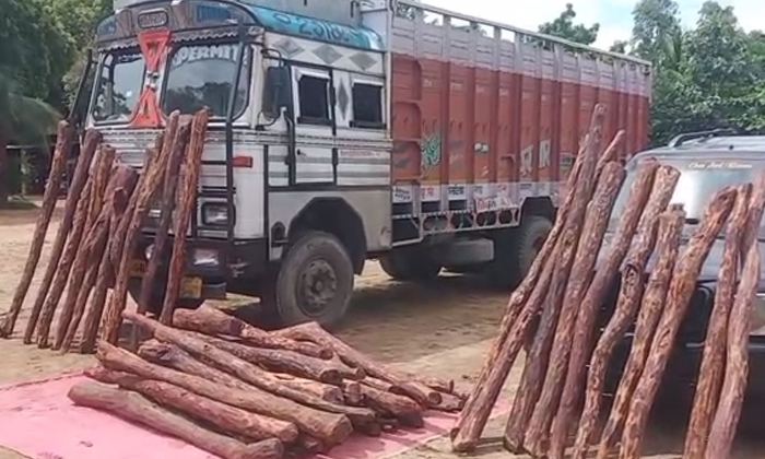 Telugu 62 Logs Of Red Sandal Caught, Chittoor Diastrict Police, Most Wanted International Smuggler, Red Sandal Smuggling, Sp Senthil Kumar, Vinjamuru Ramanatha Reddy-Press Releases Telugu 62 Logs Of Red Sandal Caught, Chittoor Diastrict Police, Most Wanted International Smuggler, Red Sandal Smuggling, Sp Senthil Kumar, Vinjamuru Ramanatha Reddy-Press Releases