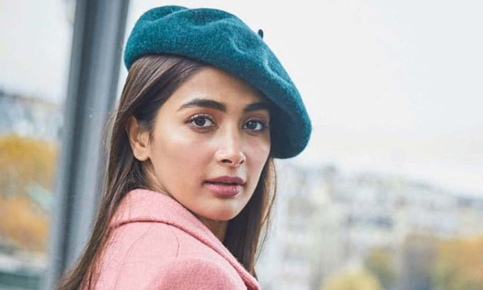 Telugu Brother, Most Eligible Bachelor, Pooja Hegde, Rishab Hegdhe, Soacial Media, Tollywood-Movie Telugu Brother, Most Eligible Bachelor, Pooja Hegde, Rishab Hegdhe, Soacial Media, Tollywood-Movie