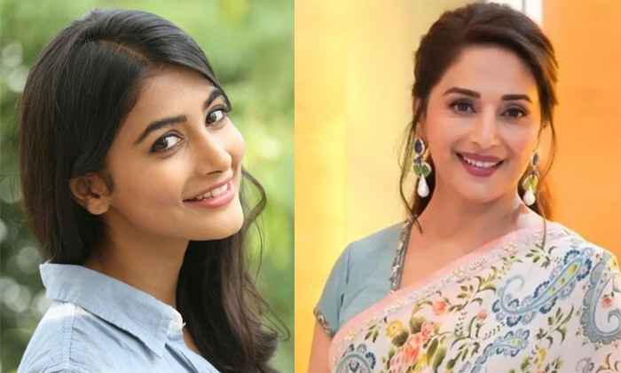 Telugu Acharya, Amitab Bachchan, Favourite Food, Food And Dress, Interesting Facts, Kamal Haasan, Maduri Dixit, Most Eligible Bachelor, Pooja Hegde, Pooja Hegde Favorites-Movie Telugu Acharya, Amitab Bachchan, Favourite Food, Food And Dress, Interesting Facts, Kamal Haasan, Maduri Dixit, Most Eligible Bachelor, Pooja Hegde, Pooja Hegde Favorites-Movie