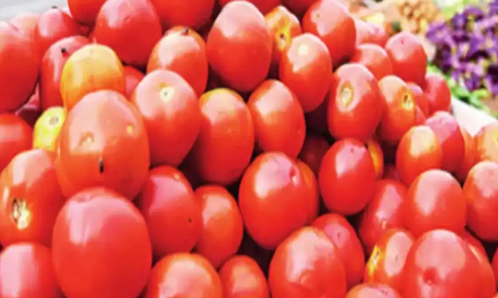 Telugu Tomato, Tomato High Rate For The First Time In History, Viral News-Latest News - Telugu Telugu Tomato, Tomato High Rate For The First Time In History, Viral News-Latest News - Telugu