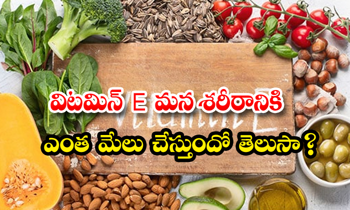  Vitamin E Rich Foods Helpful Body E-TeluguStop.com