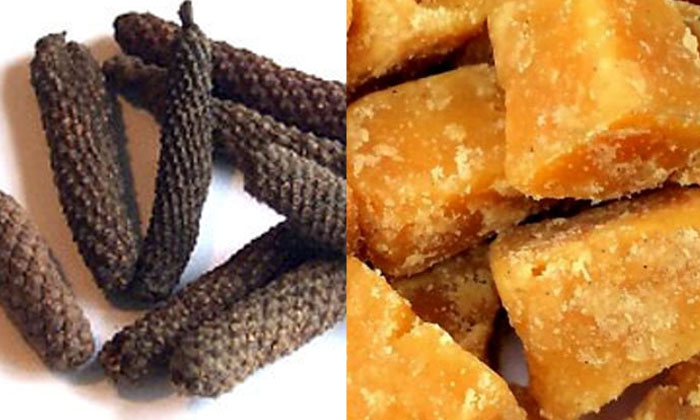 Telugu Good Health, Health, Health Tips, Latest News, Long Pepper, Over Weight, Pippallu, Weight Loss Tips-Telugu Health - తెలుగు హెల్త్ టిప్స్ ,చిట్కాలు Telugu Good Health, Health, Health Tips, Latest News, Long Pepper, Over Weight, Pippallu, Weight Loss Tips-Telugu Health - తెలుగు హెల్త్ టిప్స్ ,చిట్కాలు