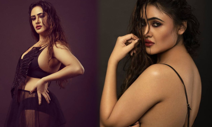 Actress Sony Charishta looks Bold And Beautiful In This Pictures-telugu Actress Hot Photos Actress Sony Charishta looks Bold And Beautiful In This Pictures - Sonycharishta Actresssony Charishta High Resolution Photo