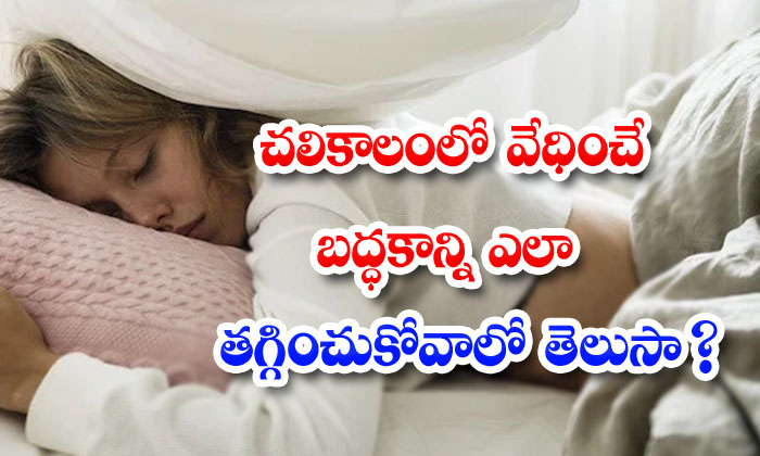  How To Get Rid Of Laziness In Winter? Laziness In Winter, Laziness, Winter, Latest News, Health, Health Tips, Good Health, Winter Season-TeluguStop.com