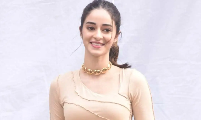 Telugu Bollywood, Janaganamana, Puri Jagannath-Movie Telugu Bollywood, Janaganamana, Puri Jagannath-Movie