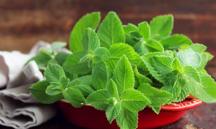 Telugu Basil, Lemon, Pepper, Troubledcough, Turmaric-Telugu Health - తెలుగు హెల్త్ టిప్స్ ,చిట్కాలు Telugu Basil, Lemon, Pepper, Troubledcough, Turmaric-Telugu Health - తెలుగు హెల్త్ టిప్స్ ,చిట్కాలు