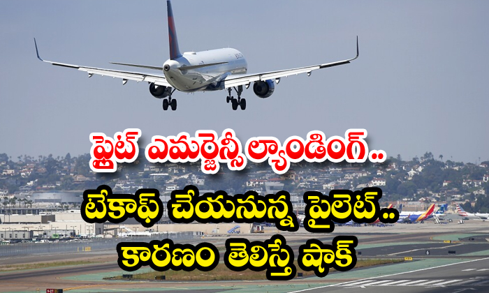  Flight Emergency Landing Pilot Who Took Off Shock If The Cause Is Known , Flight, Viral News-TeluguStop.com