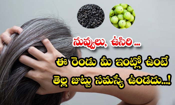  Sesame Seeds And Amla Helps To Get Rid Of White Hair!, Sesame Seeds, Amla, White Hair, Indian Gooseberry, Hair Care Tips, Beauty, Beauty, Tips, Black Hair,-TeluguStop.com