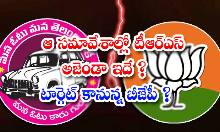  The Trs Strategy Is To Embarrass The Bjp In Parliament Sessions Trs, Telangana, Kcr, Bjp, Trs Government, Parlament Meeting, Target Bjp Hujurabad, Dubbaka Elections, Telangana Cm,-TeluguStop.com