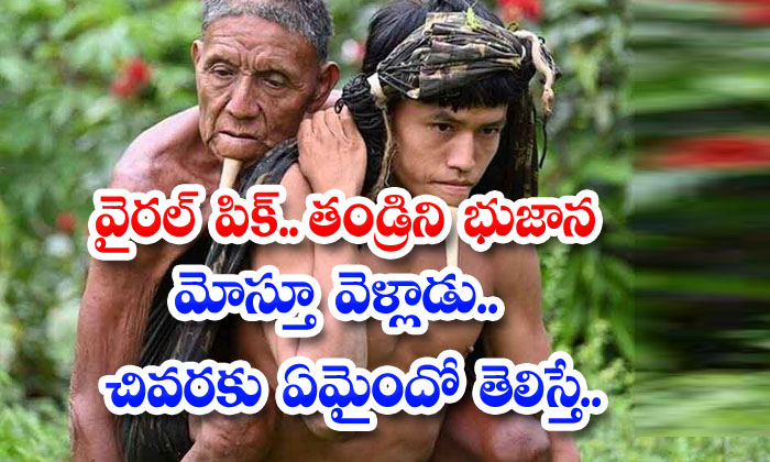  Viral Pic Carried His Father On His Shoulder If He Knew What Happened In The End .., Viral Pic, Father Love, Brazil, Vacine , Amazon Forest, Vacine-TeluguStop.com