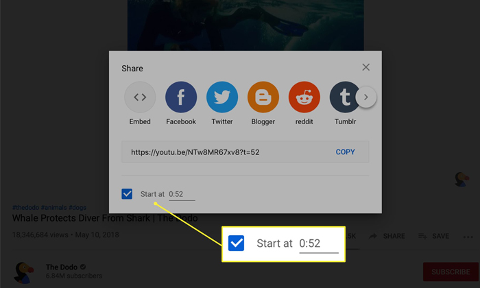 Telugu Share, Start, Time Stamp, Youtube, Youtube Share-Latest News - Telugu Telugu Share, Start, Time Stamp, Youtube, Youtube Share-Latest News - Telugu