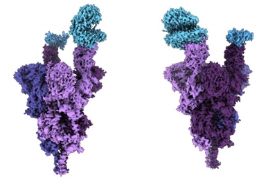  Indian-origin Scientist Creates 1st Molecular Structure Of Omicron Protein #indianorigin #scientist-TeluguStop.com