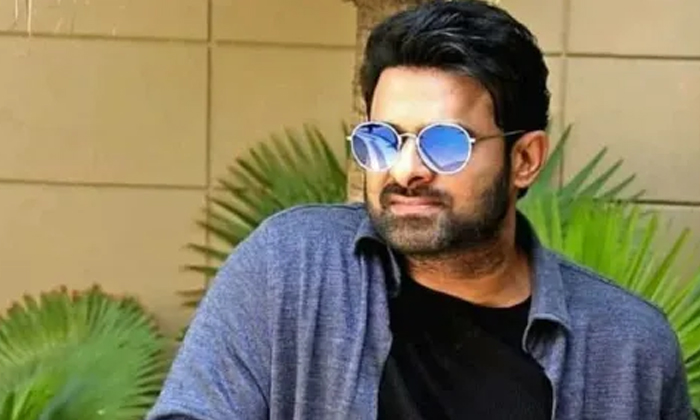  Pan India Star Prabhas To Do A Quick And Interesting Project, Maruthi, Prabhas, Pan India Film, Tollywood, New Project, Raja Deluxe-TeluguStop.com