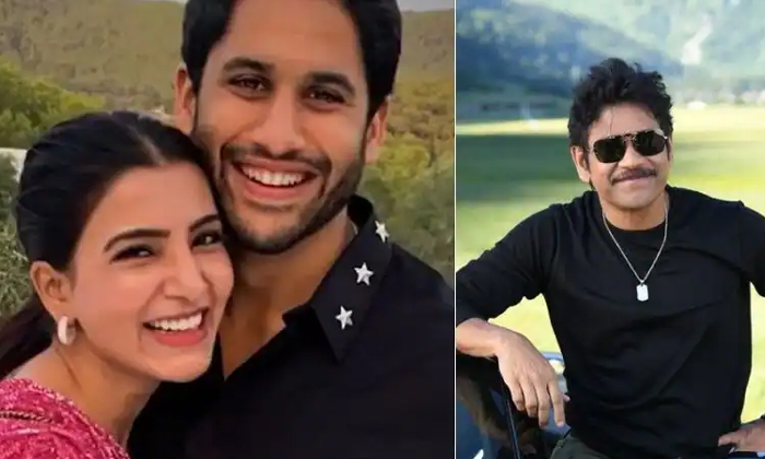 Telugu Nagarjuna, Samantha-Movie Telugu Nagarjuna, Samantha-Movie