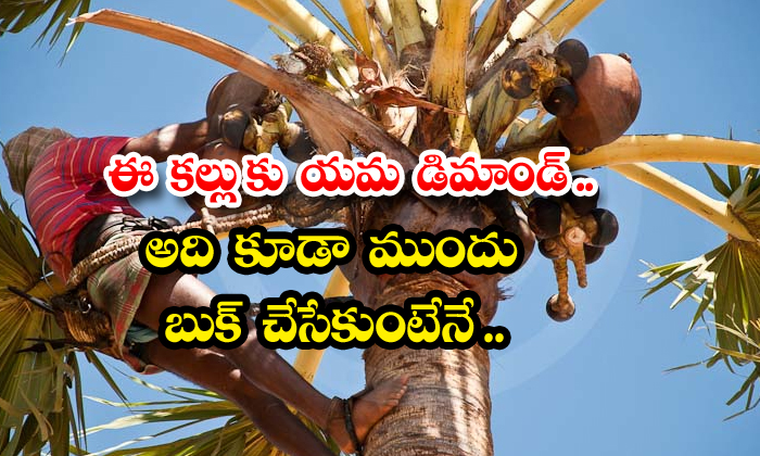  Traditional Tribal Wine Palm Toddy Wine In Telangana, Telangana, Traditional Tribal Wine, Jeelugu Kallu,palm Toddy ,-TeluguStop.com